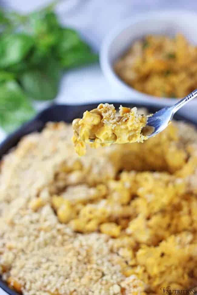 spoonful of gluten free vegan Pumpkin Mac and Cheese.