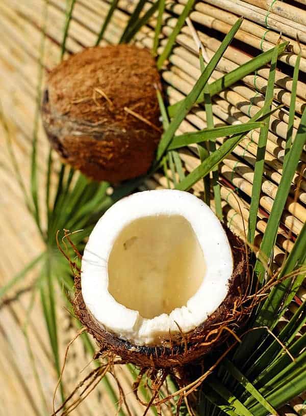 saturated fats - coconut oil