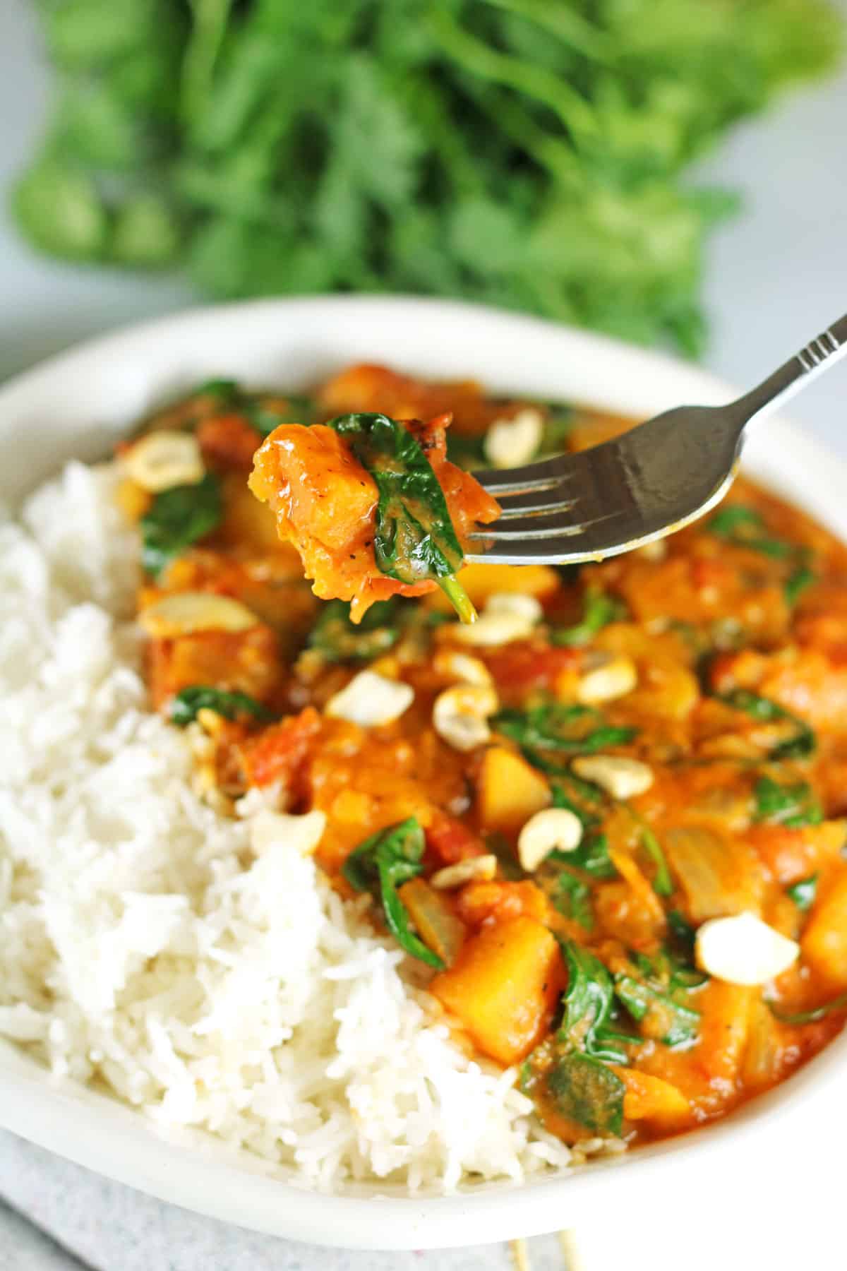 fork full of butternut squash curry.