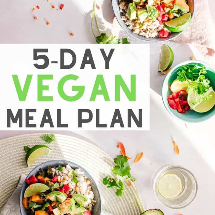 https://www.vnutritionandwellness.com/wp-content/uploads/2020/11/5-day-vegan-meal-plan-featured-720x720.jpg