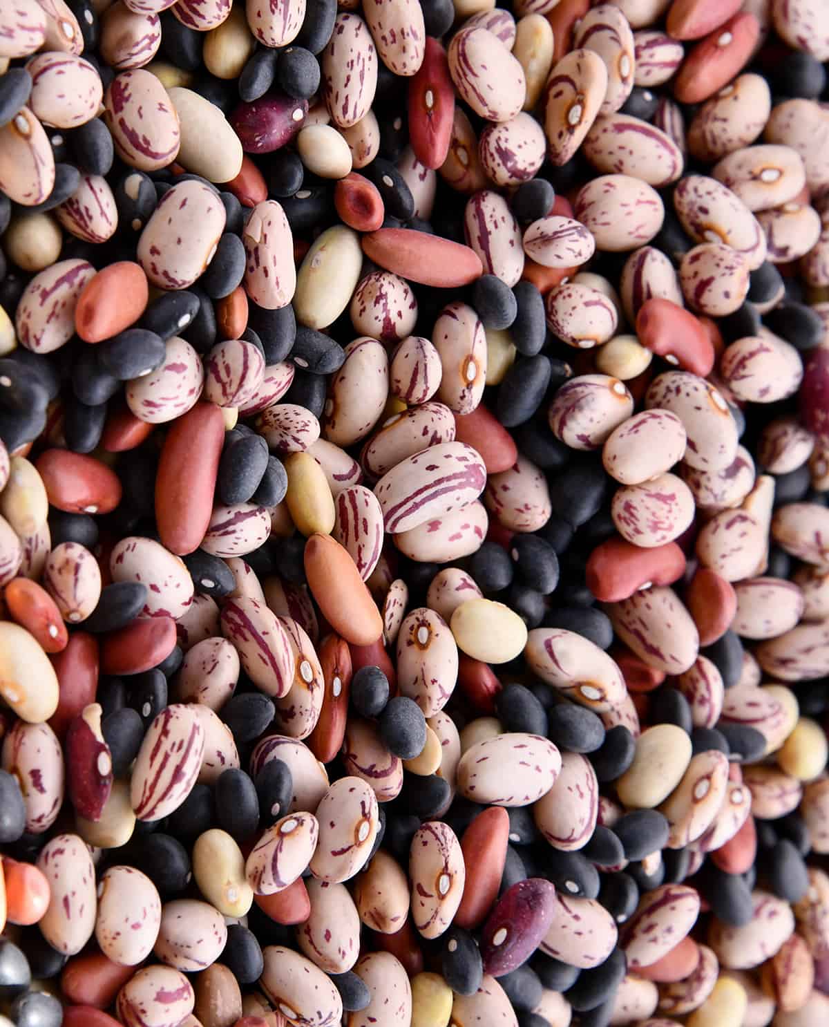 assortment of colored beans