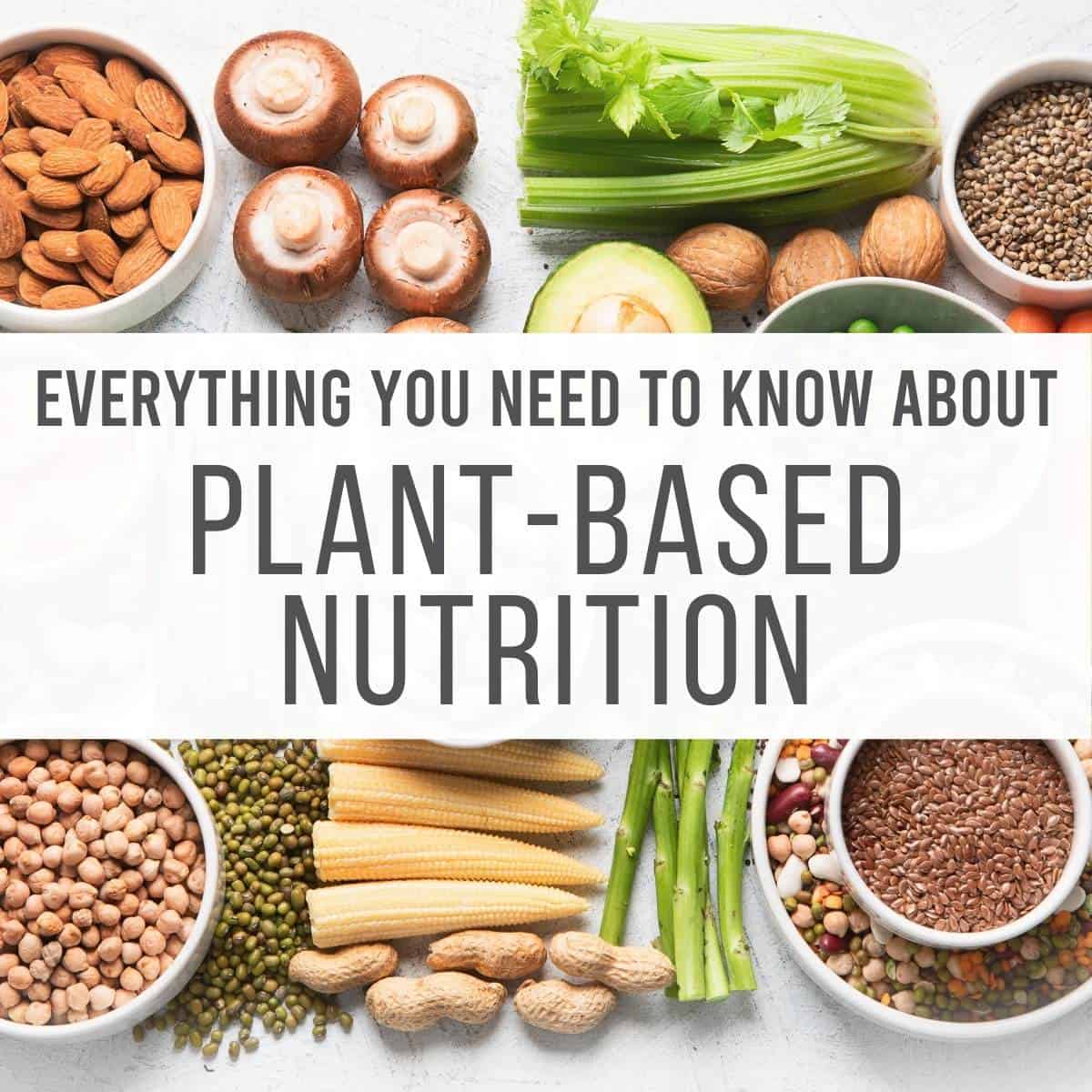 What you need to know about Plant Based Nutrition