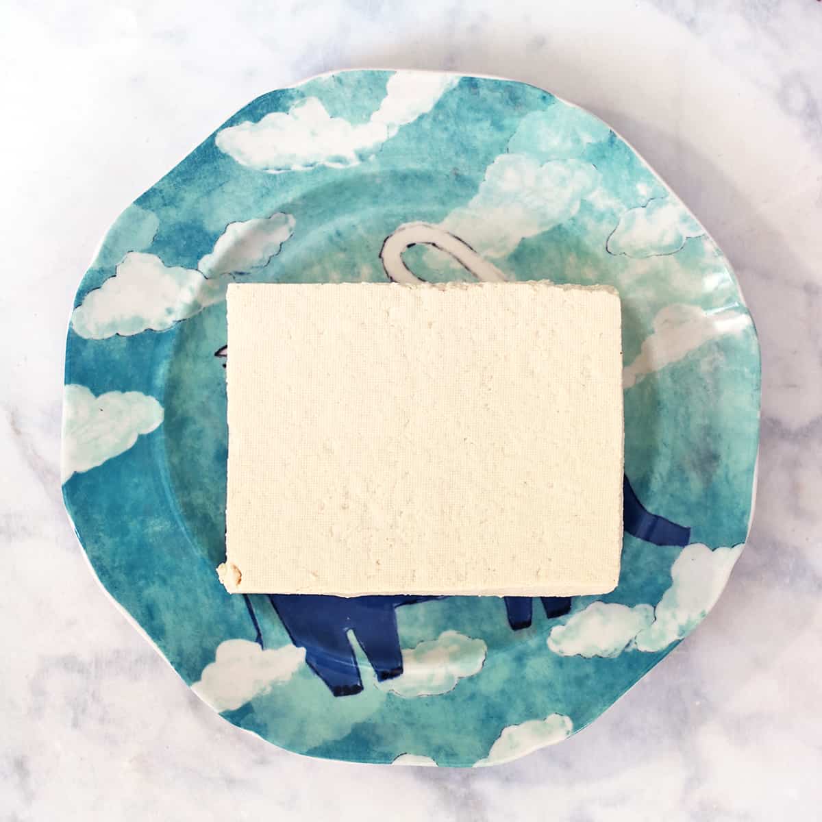 pressed tofu on a blue plate