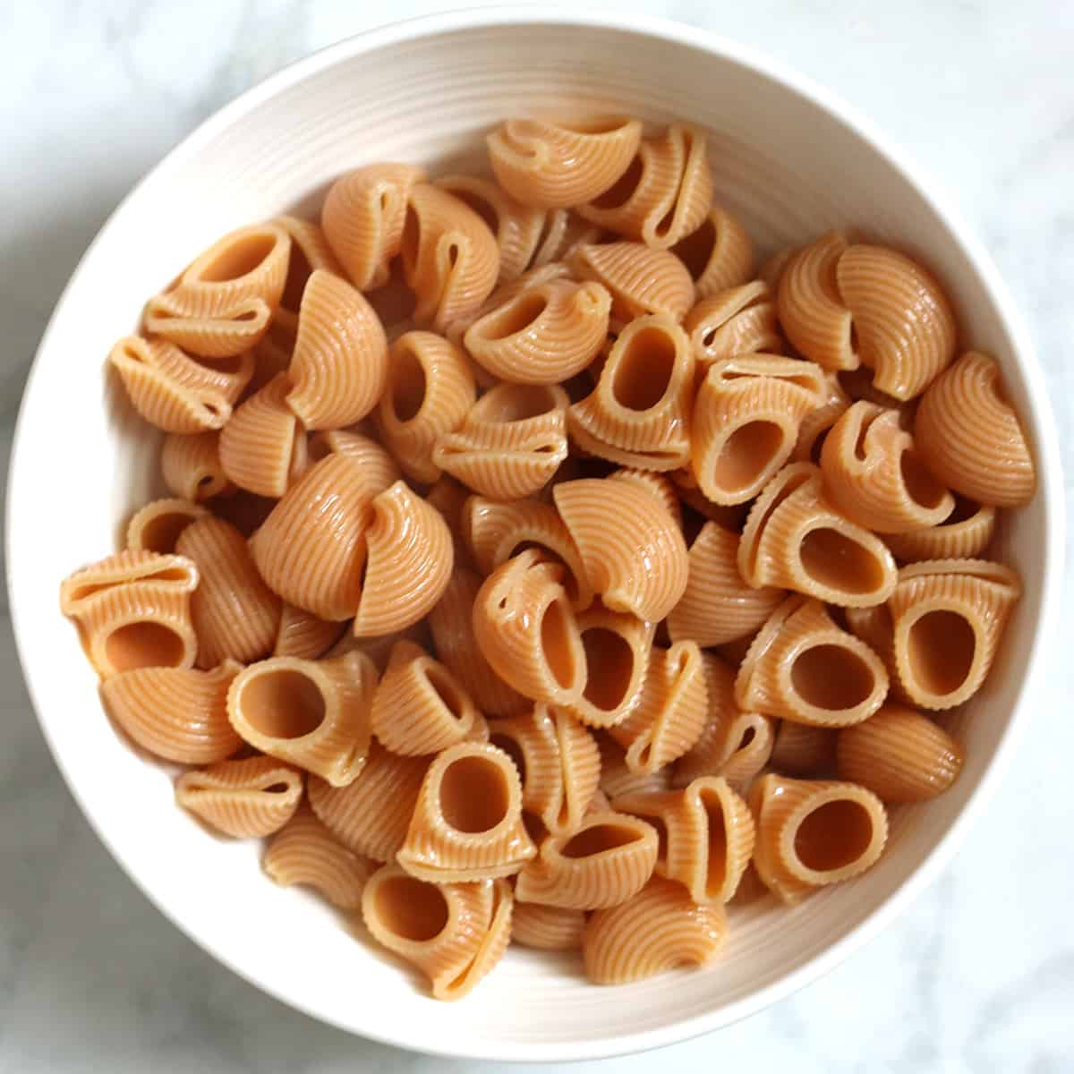 cooked shell pasta in a white bowl.