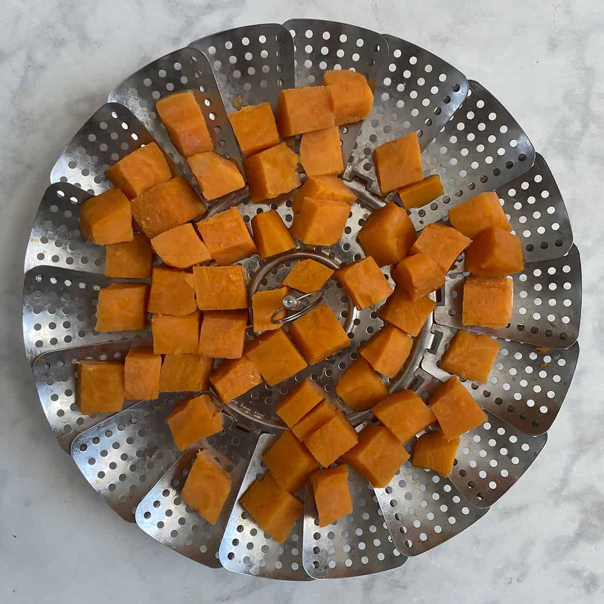 steamed butternut squash in steamer tray.