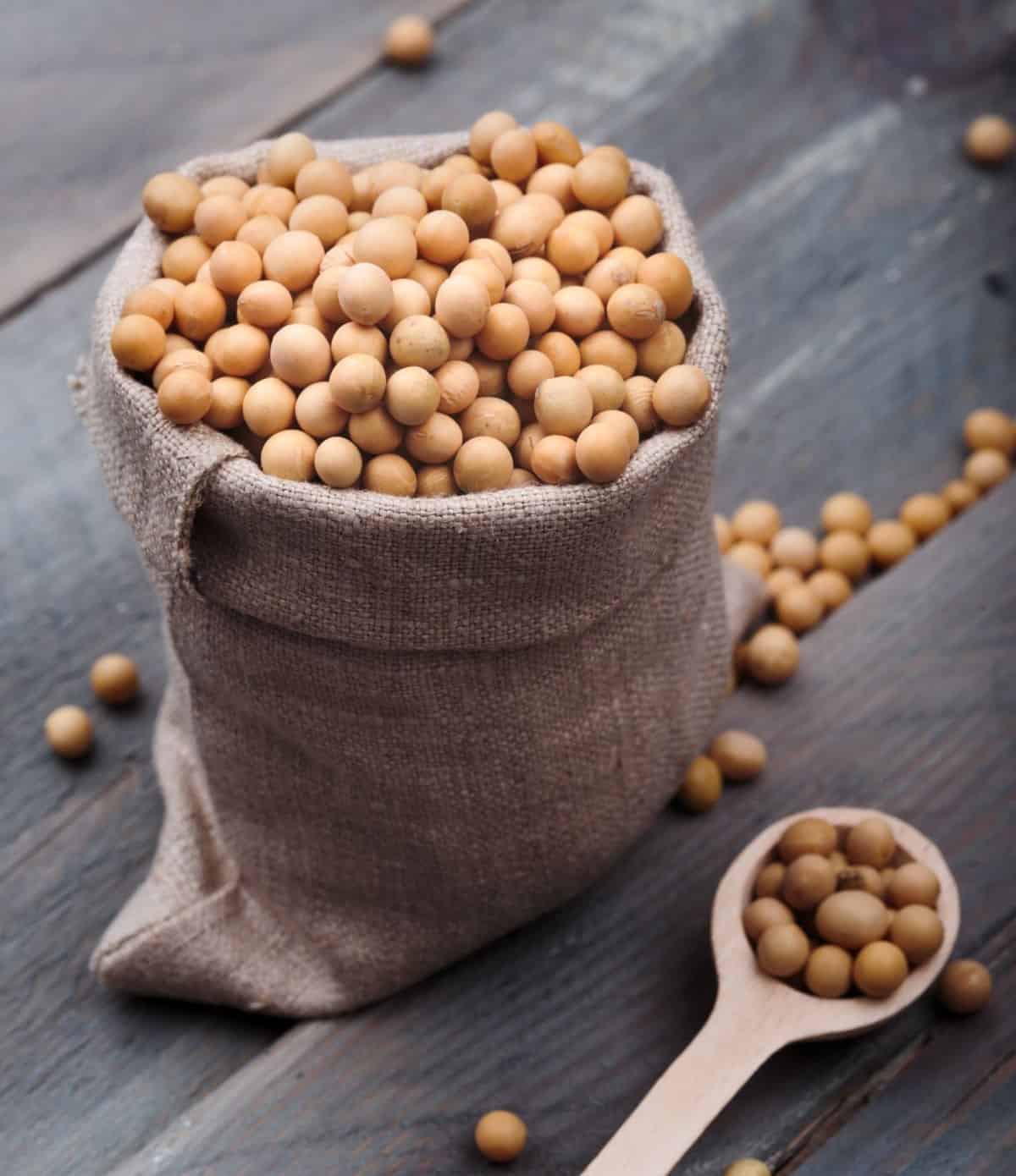 soybeans in a burlap bag with spoon beside it.