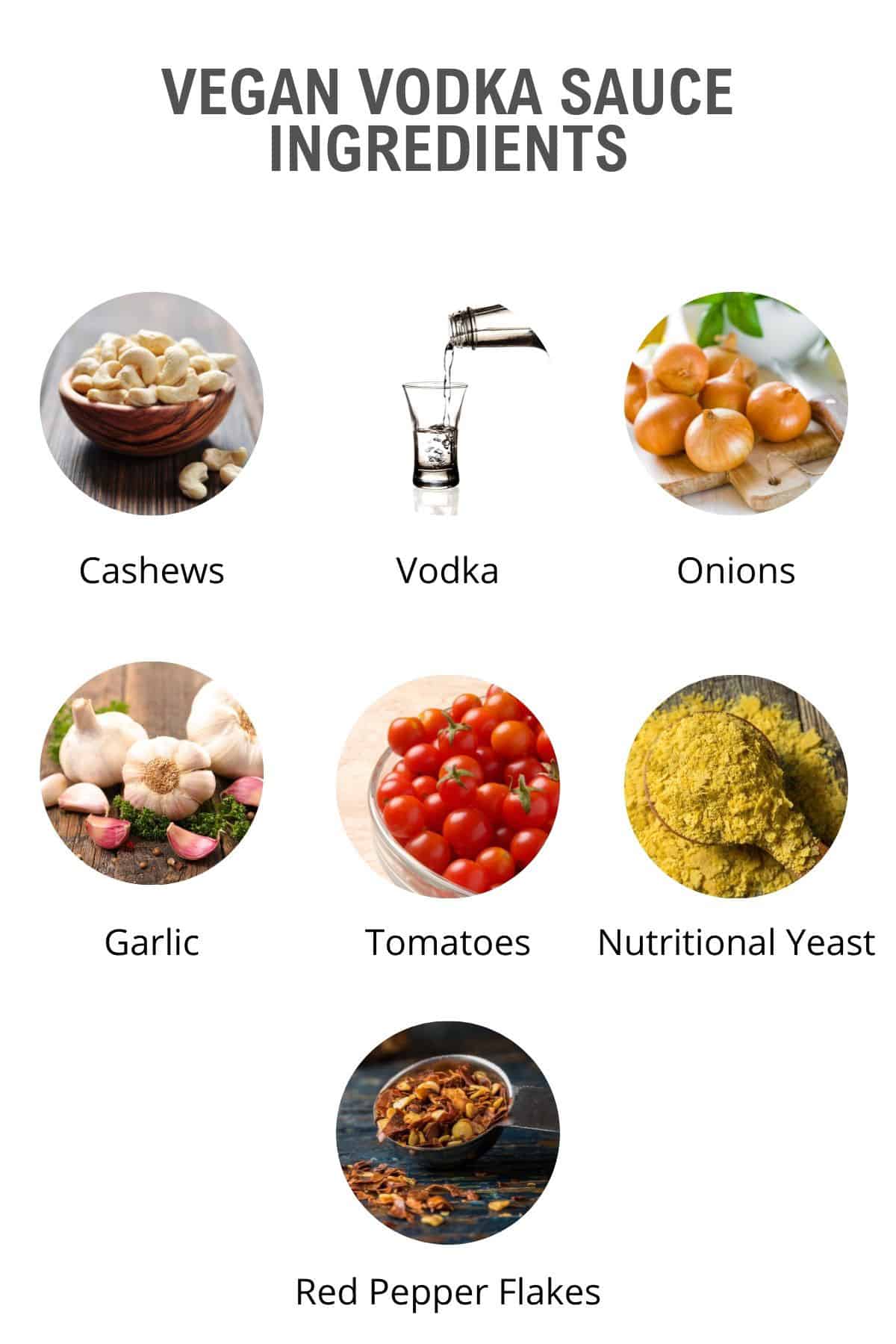 vegan vodka sauce ingredients as an infographic.